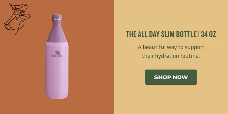 https://www.stanley1913.com/products/the-all-day-slim-bottle-20-oz?variant=44559896051839