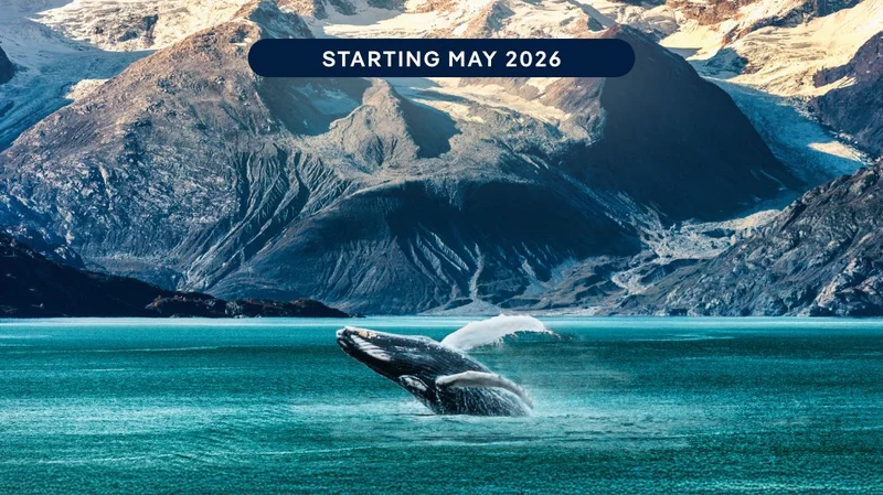 Alaska From Seattle – Starting May 2026 – Click to View Cruises & Book Now Alaska From Seattle – Starting May 2026 – Click to View Cruises & Book Now