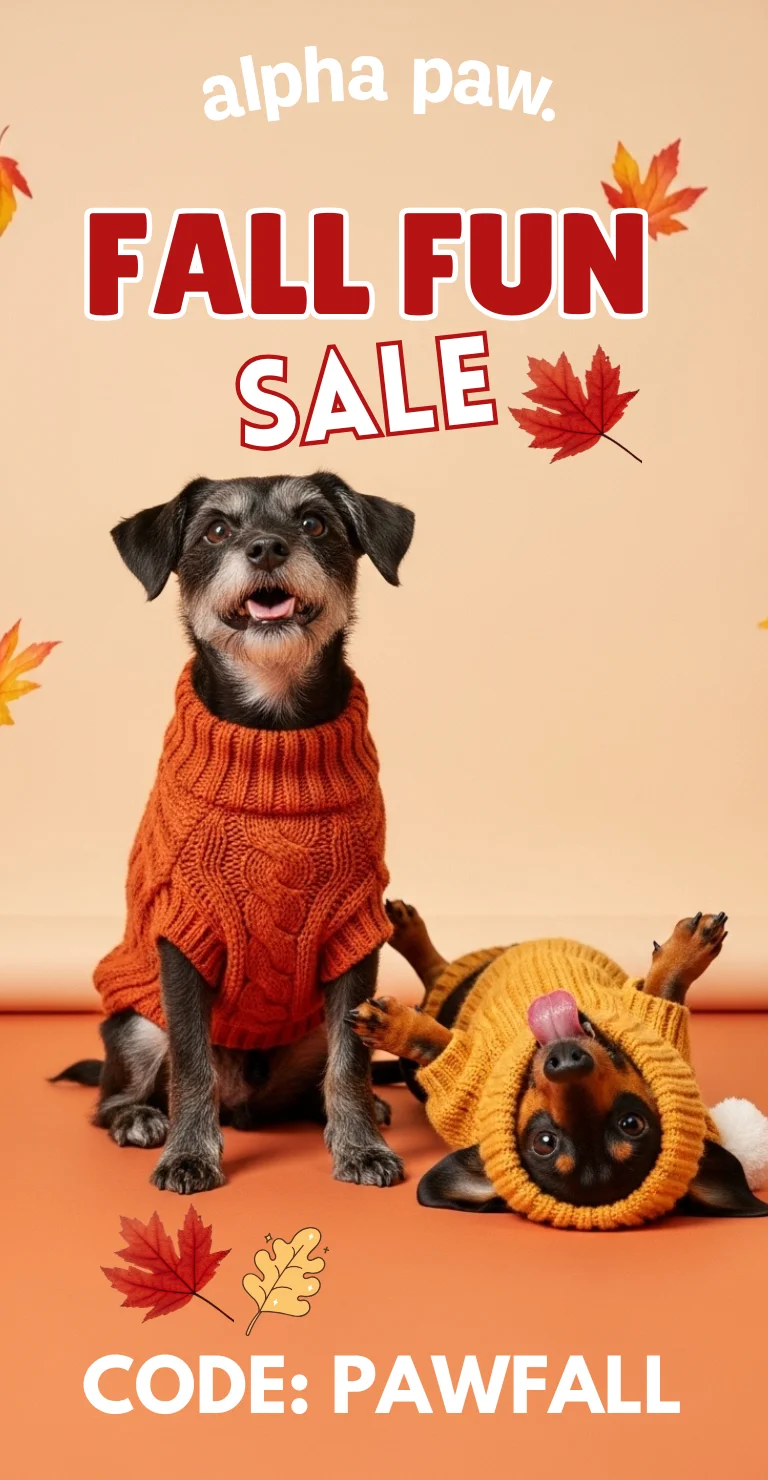 Alpha Paw Fall Alpha Paw Fall