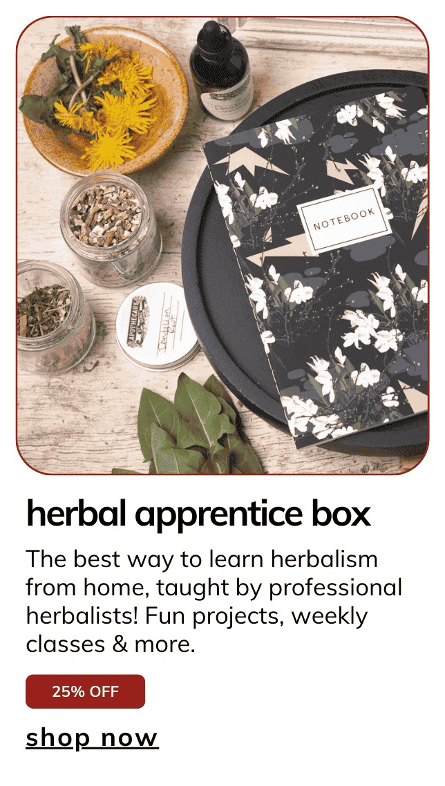 Herbal Apprentice Box