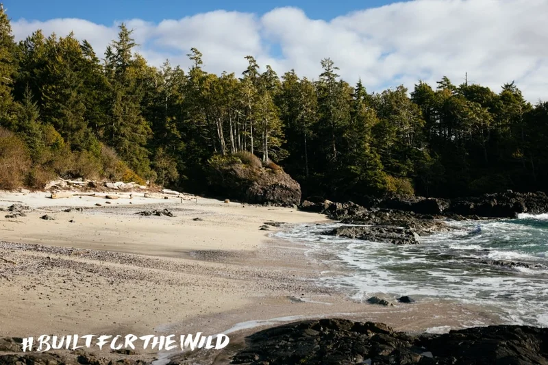 Built For The Wild