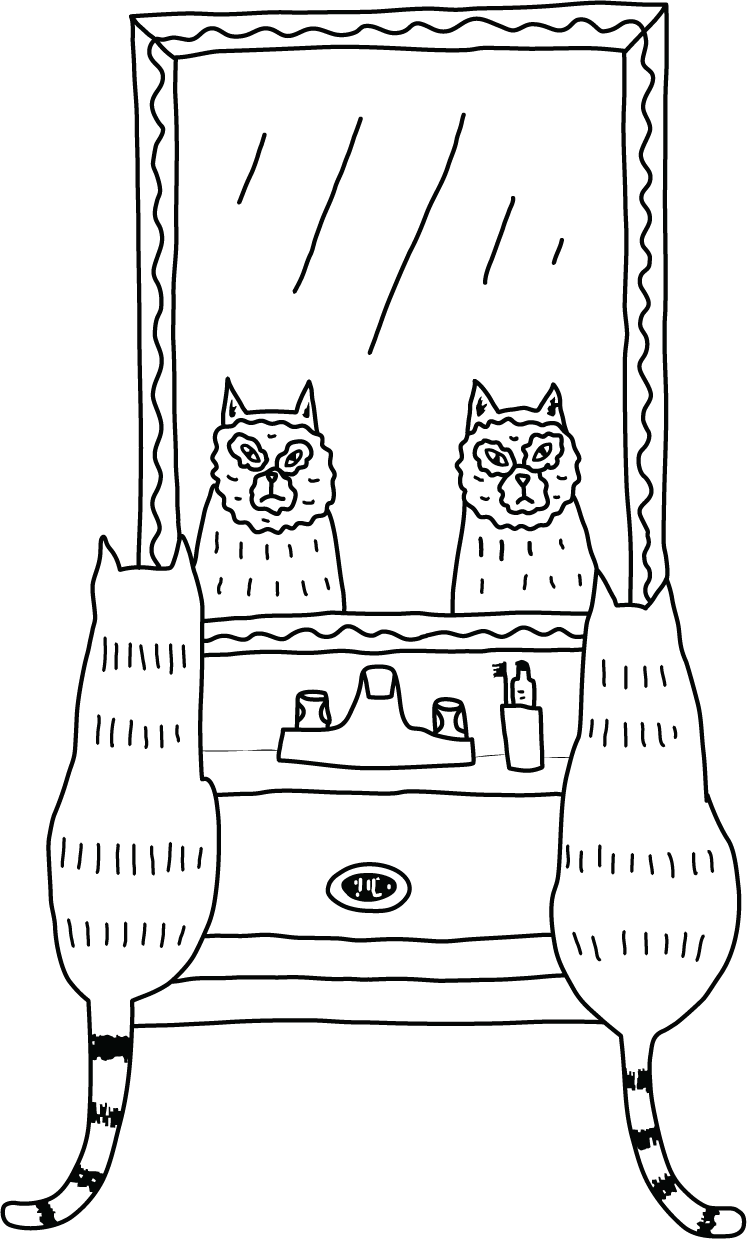 A black line drawing of two cats with face masks, looking into a bathroom mirror.