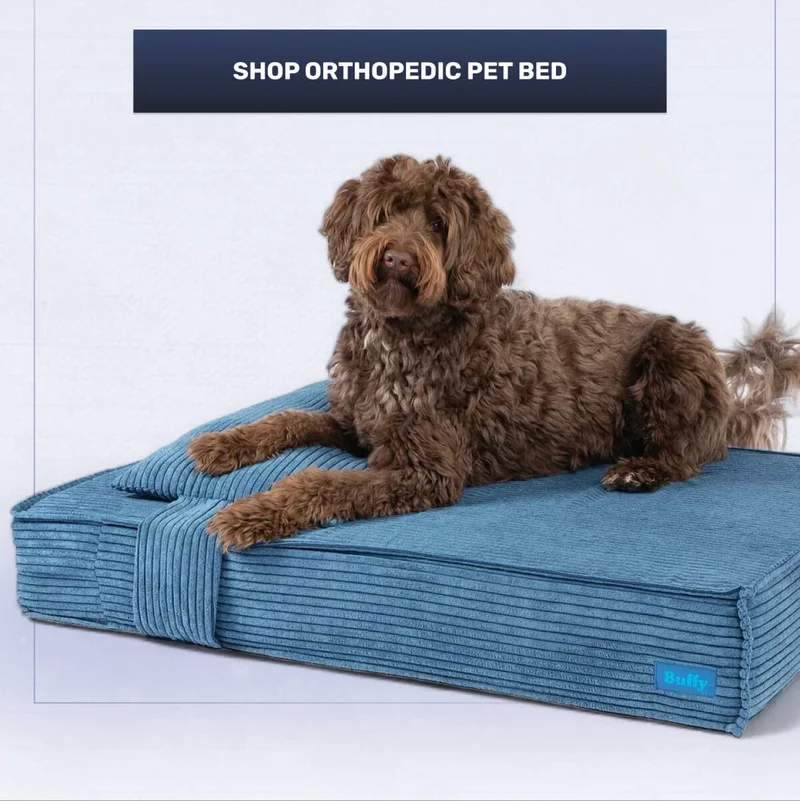 Shop Orthopedic Pet Bed
