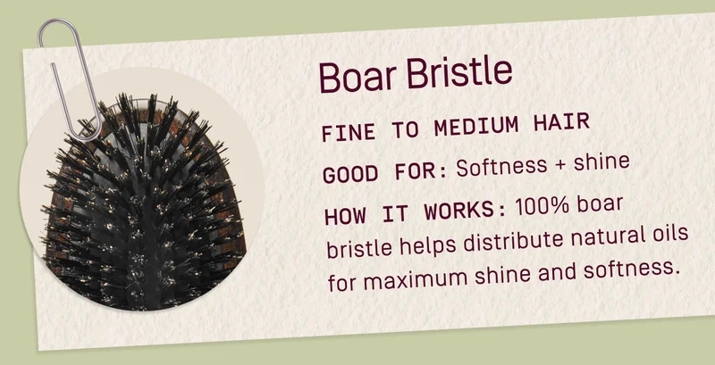 Boar Bristle