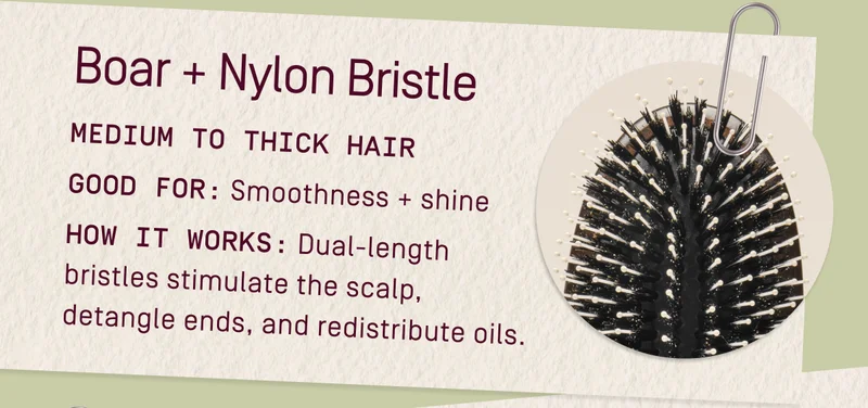 Boar + Nylon Bristle