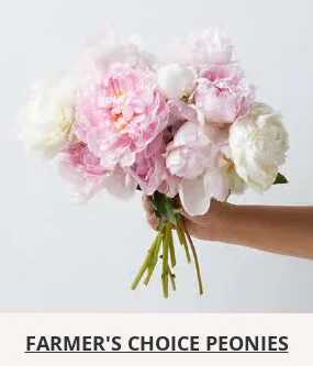 Flowers At a Great Price