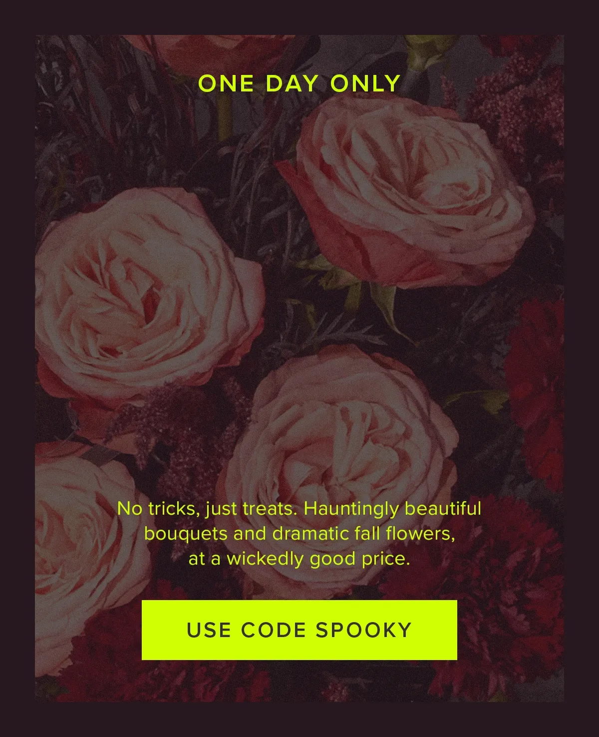 One Day Only: 30% OFF! No tricks, just treats. Hauntingly beautiful bouquets and dramatic fall flowers, at a wickedly good price. Use code SPOOKY.