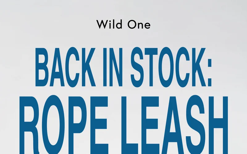 back in stock: rope leash