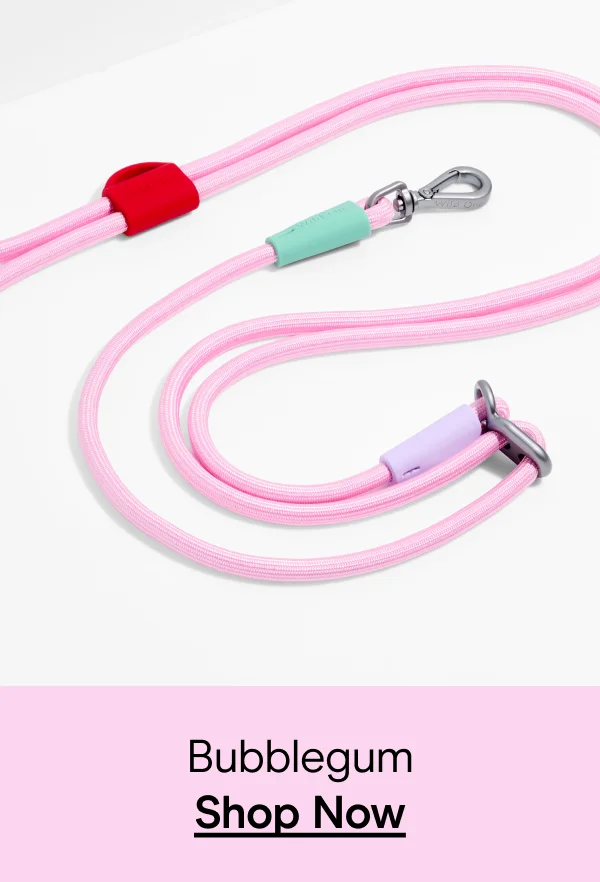 bubblegum