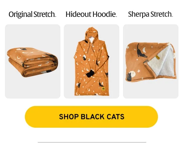 Spooky Cats