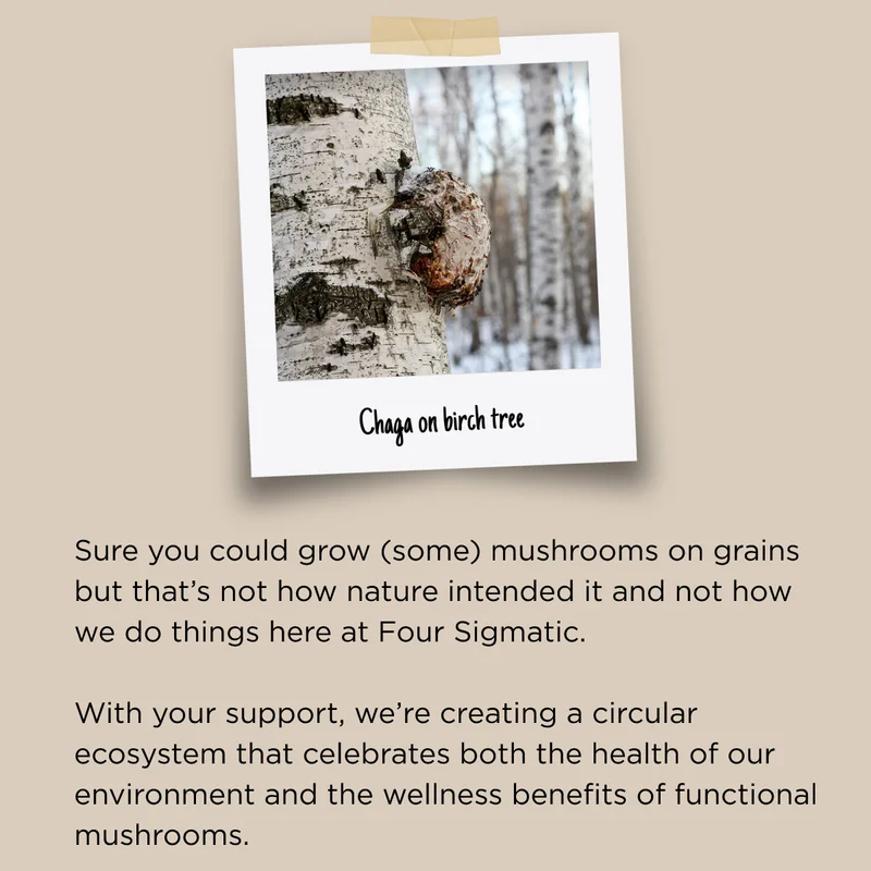 Sure you could grow (some) mushrooms on grains but that's not how nature intended it and not how we do things here at Four Sigmatic. With your support, we're creating a circular ecosystem that celebrates both the health of our environment and the wellness benefits of functional mushrooms.