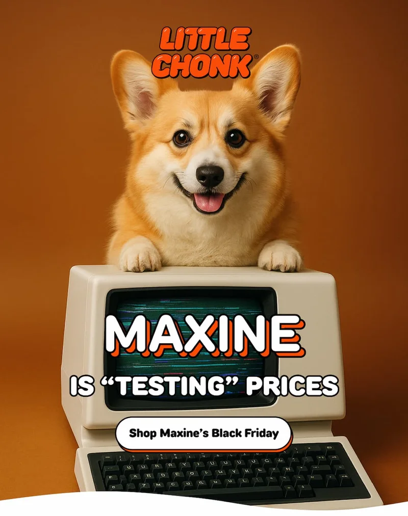 MAXINE IS “TESTING” PRICES