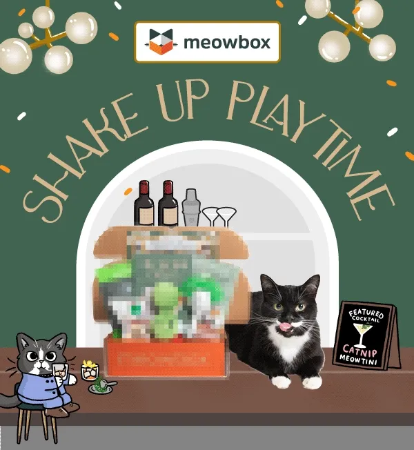 Shake up playtime! Image of a black and white cat next to the Meows and Booze meowbox (featuring toys like the Meowtini Olives, Cat Tail Hour, Purr me a Meowtini Catnip Cat toys and more) in front of a bar environment.