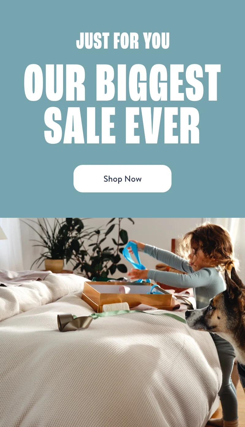 Shop Now