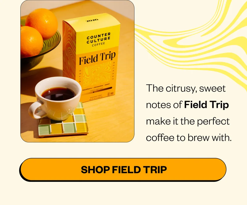 The citrusy, sweet notes of Field Trip make it the perfect coffee to brew with. CTA: Shop Field Trip The citrusy, sweet notes of Field Trip make it the perfect coffee to brew with. CTA: Shop Field Trip