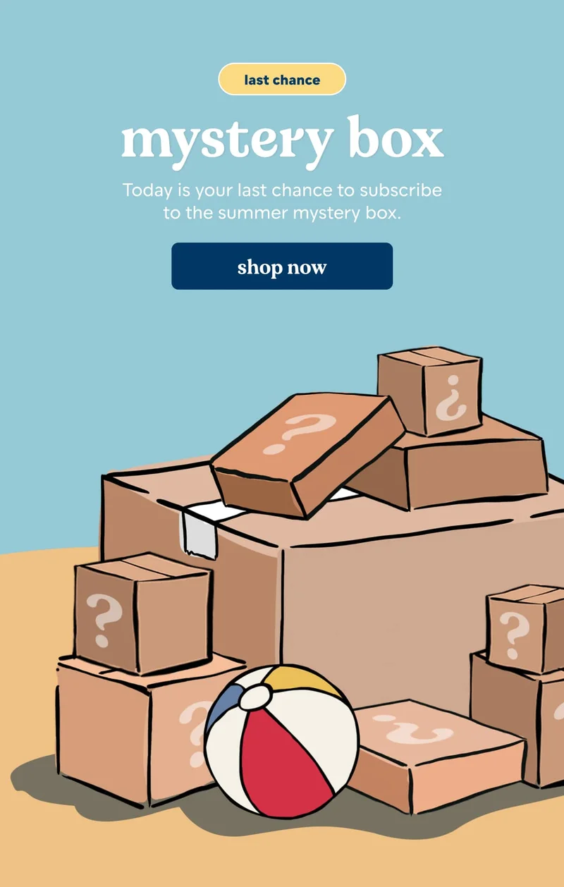 summer mystery box