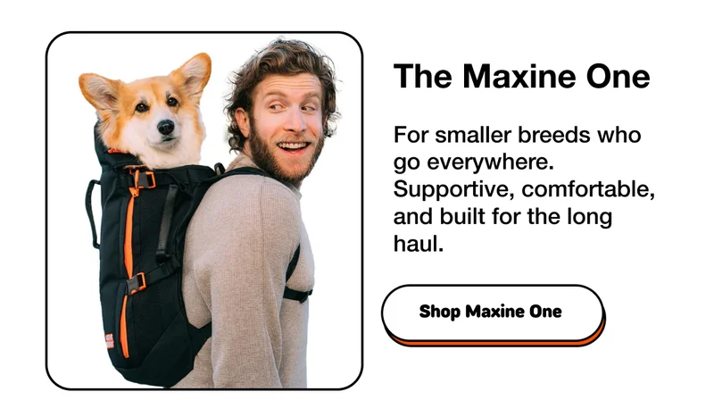 Maxine One