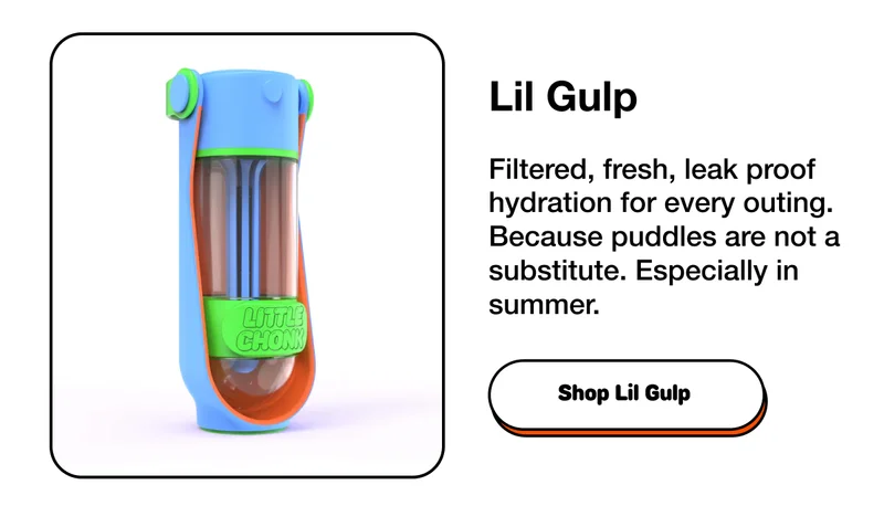 Lil Gulp