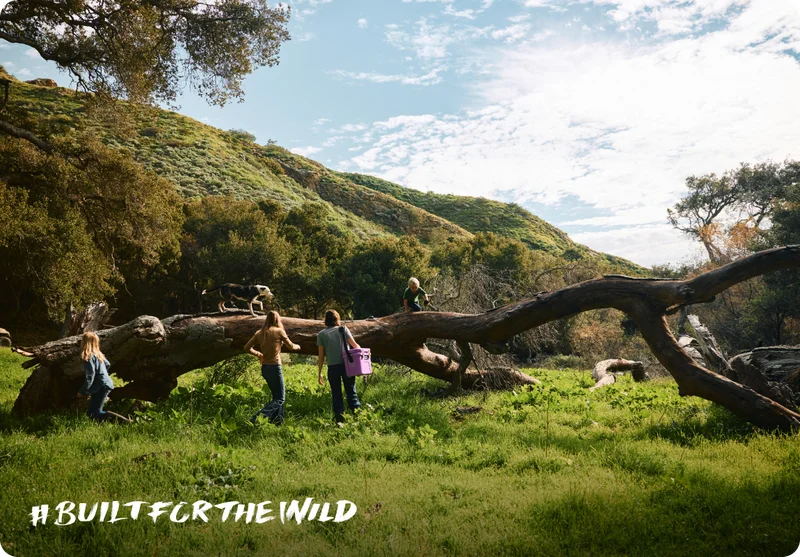Built For The Wild