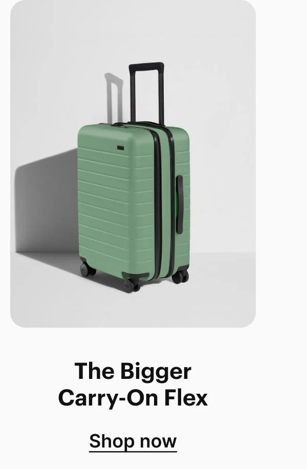 The Bigger Carry-On Flex