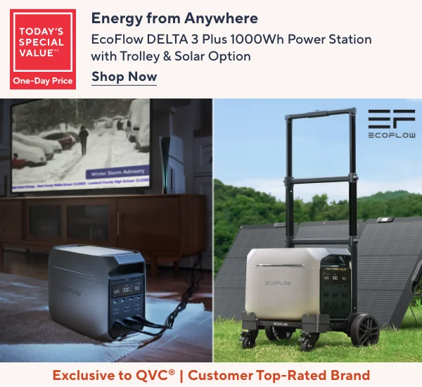 EcoFlow TSV