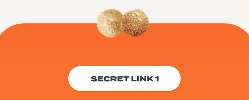 Secret link 1