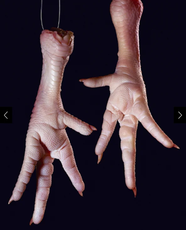 Jumbo-sized chicken feet on a black background. They are a popular menu item in China and Hong Kong. Food preferences are a combination of each person's unique tastebuds and the environment where a particular food is introduced.