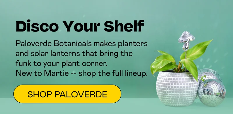 Disco Your Shelf | SHOP PALOVERDE