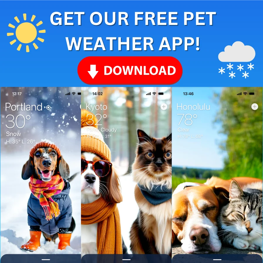 Weather Pet