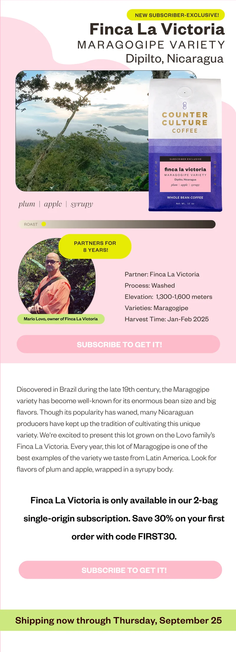 New Subscriber Exclusive Finca La Victoria Maragogipe Variety Dipilto, Nicaragua plum apple syrupyProcess: Washed Elevation: 1,300-1,600 meters Varieties: Maragogipe Harvest Time: January-February 2025