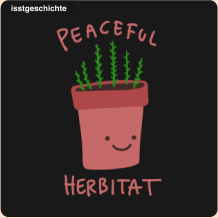 isstgeschichte