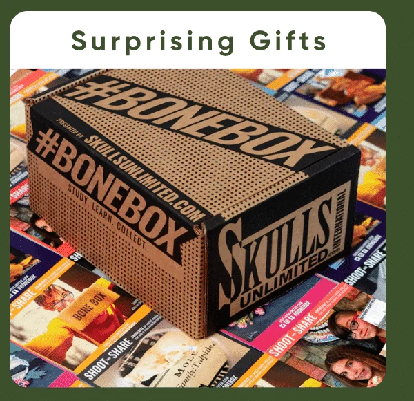 Surprising Gifts