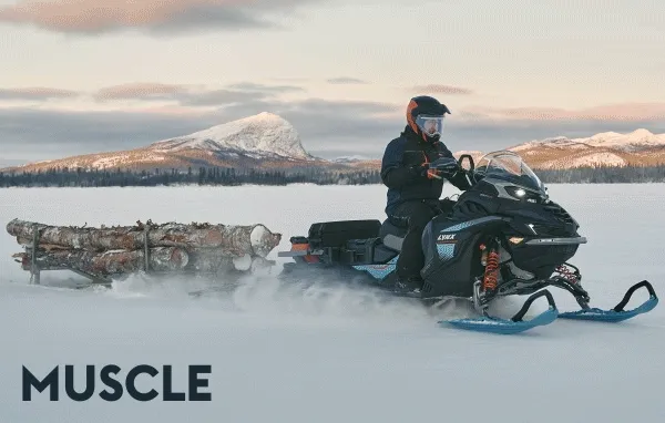 Lynx riders on their Commander sleds