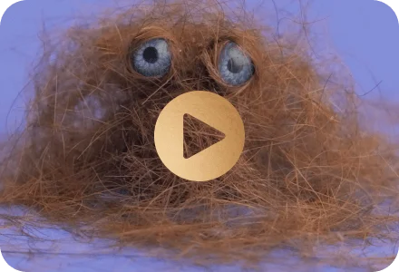 Behind the scenes: hairball divas