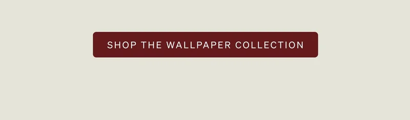 Shop the Collection