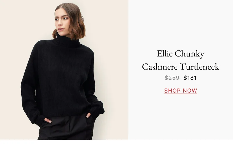 Ellie Chunky Cashmere Turtleneck