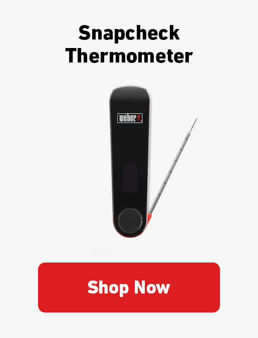 image of the Snapcheck Thermometer