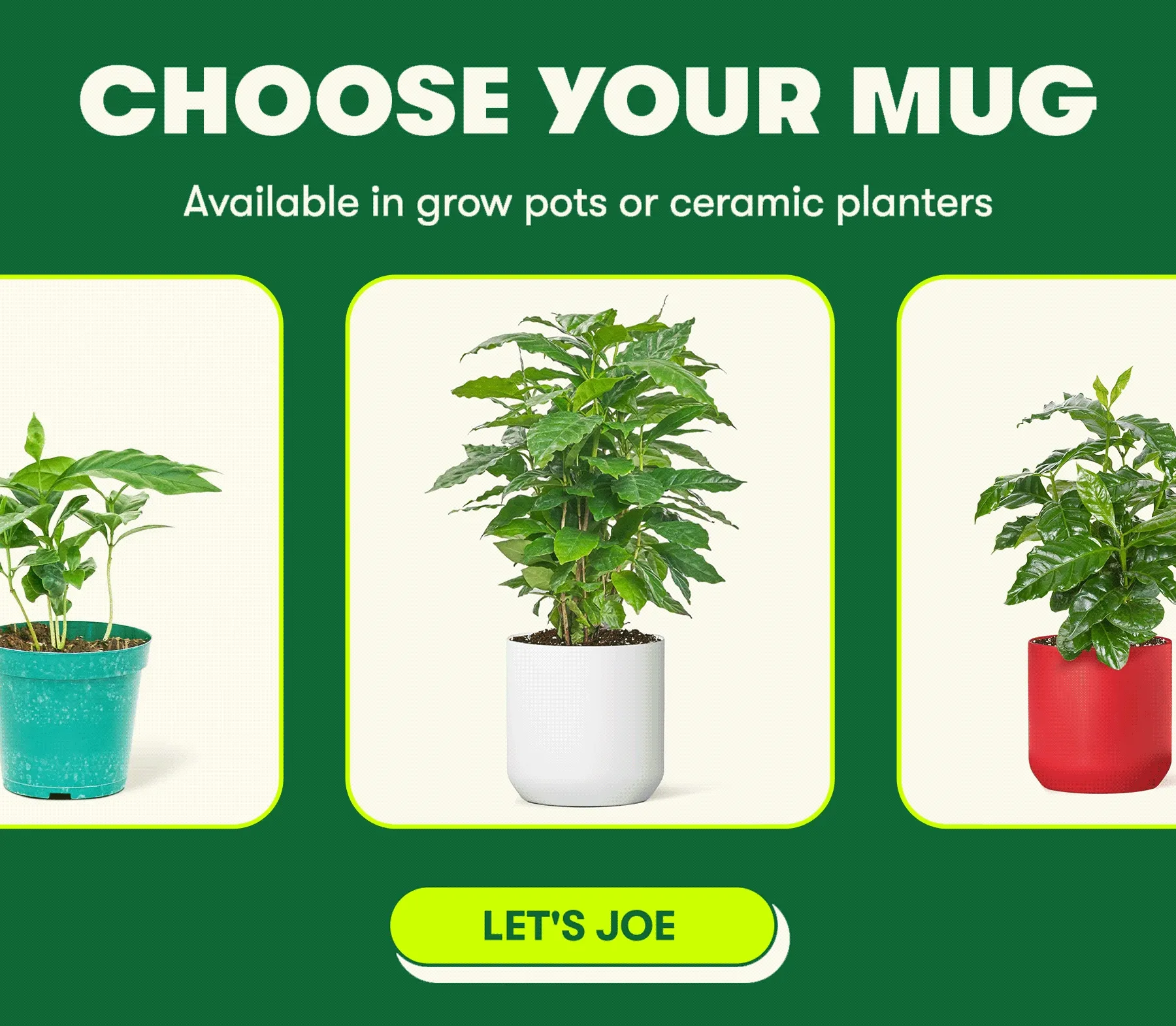 Choose Your Mug. Available in grow pots or ceramic planters. Let's Joe!