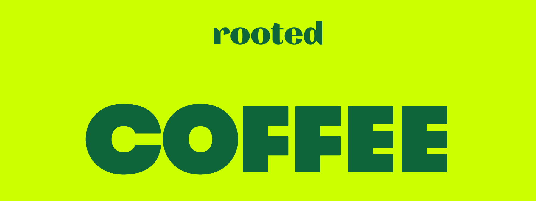 Rooted. Coffee Plants Are Here!