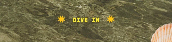 Dive in