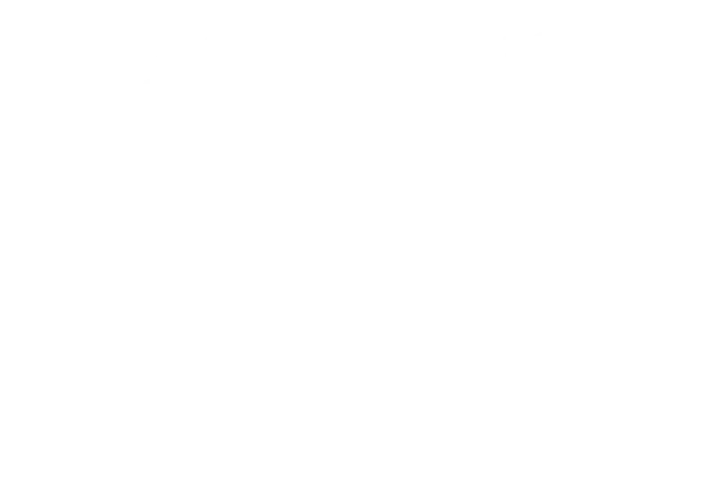 Lifetime is $199