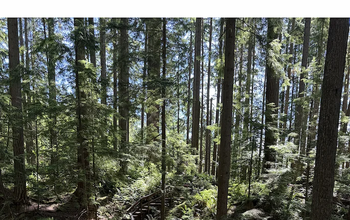 48 hours in Vancouver