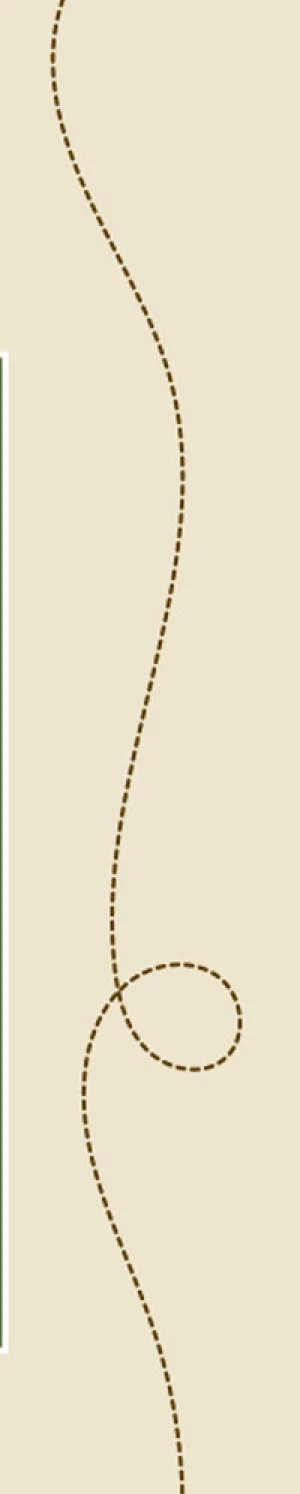 Turn on images to see quiz