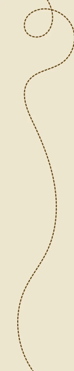 Turn on images to see quiz