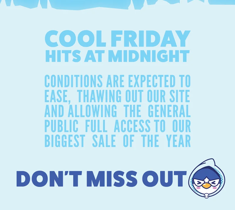 We made our biggest sale ever TOO COOL and now our entire site is FROZEN!