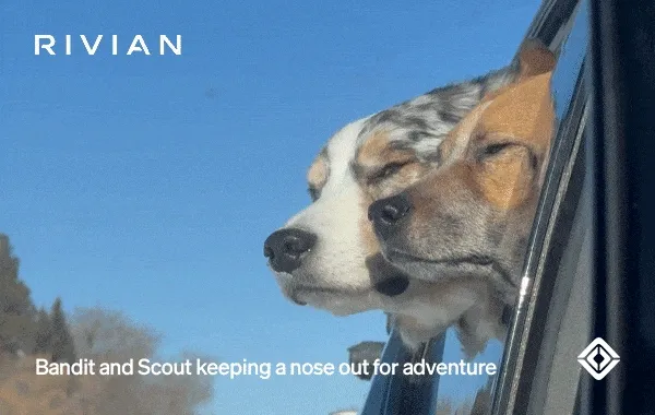 Rivian