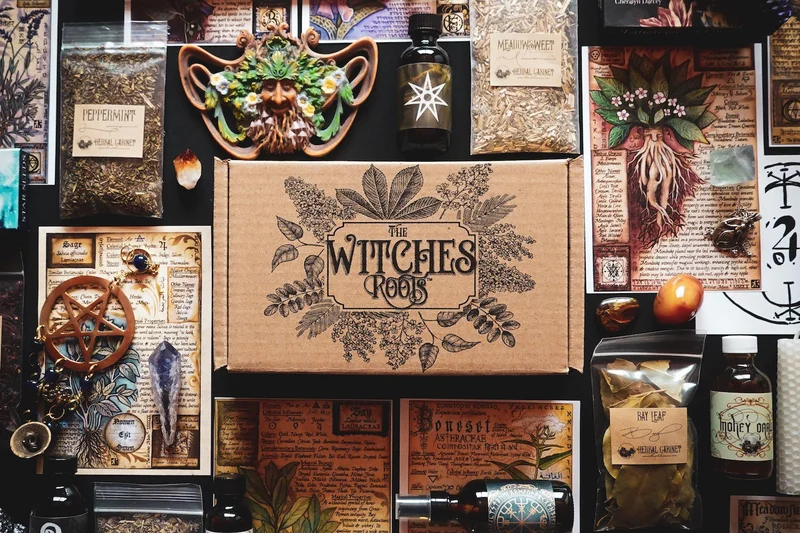 Image of The Witches Roots