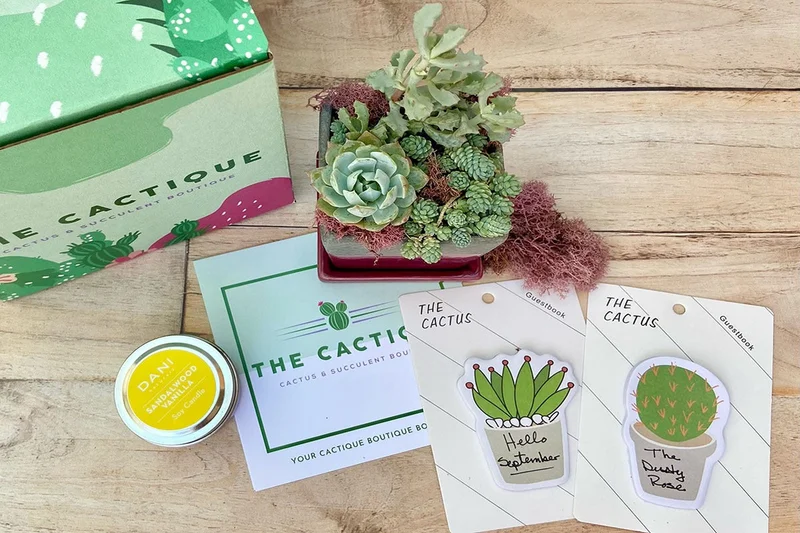 Image of The Cactique Boutique Box