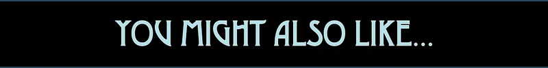 You Might Also Like...