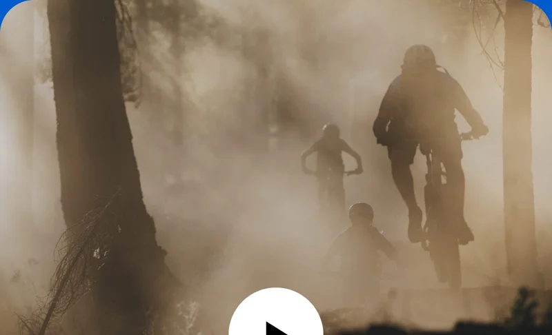 A group of bikers ride through a sunlit and dusty forest.